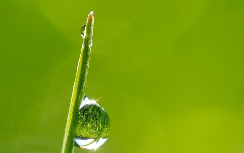 Il mondo economico europeo e globale della Canapa legale, materiale green e riciclabile e non solo